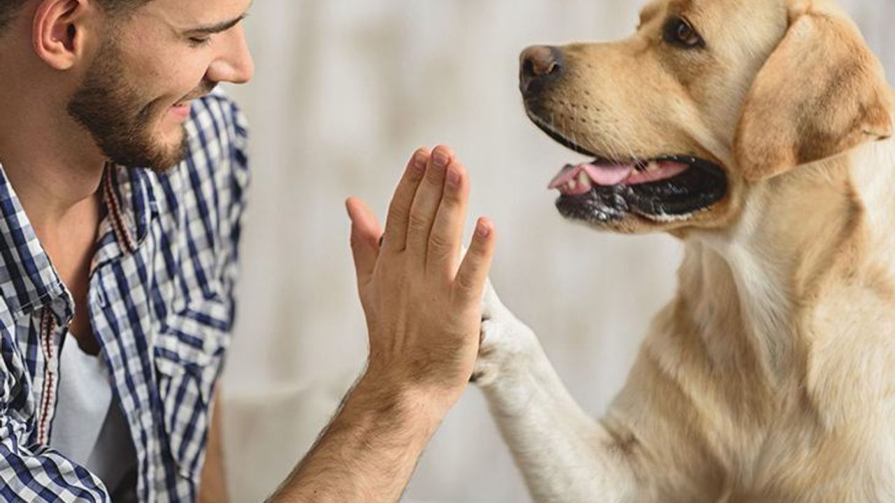 always-ready-for-high-five