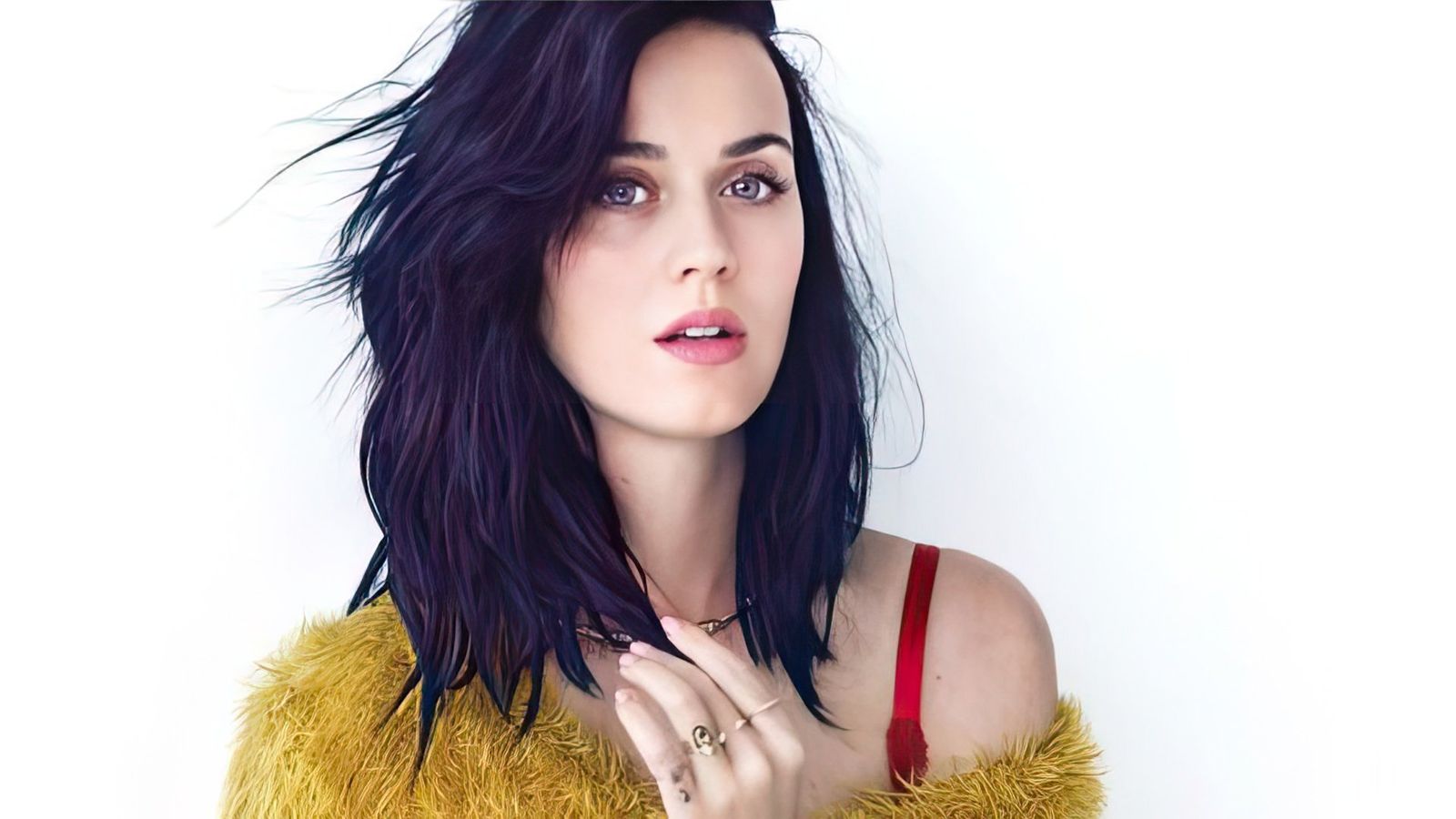 Katy Perry biography, baby, husband, net worth, daughter, height 2024 ...
